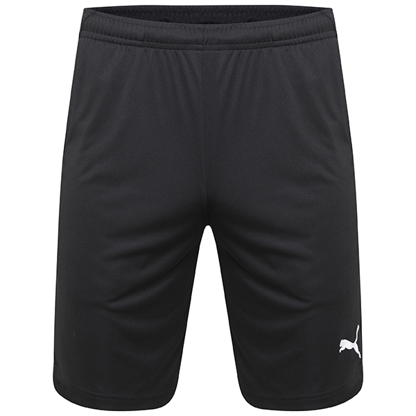 puma liga training shorts
