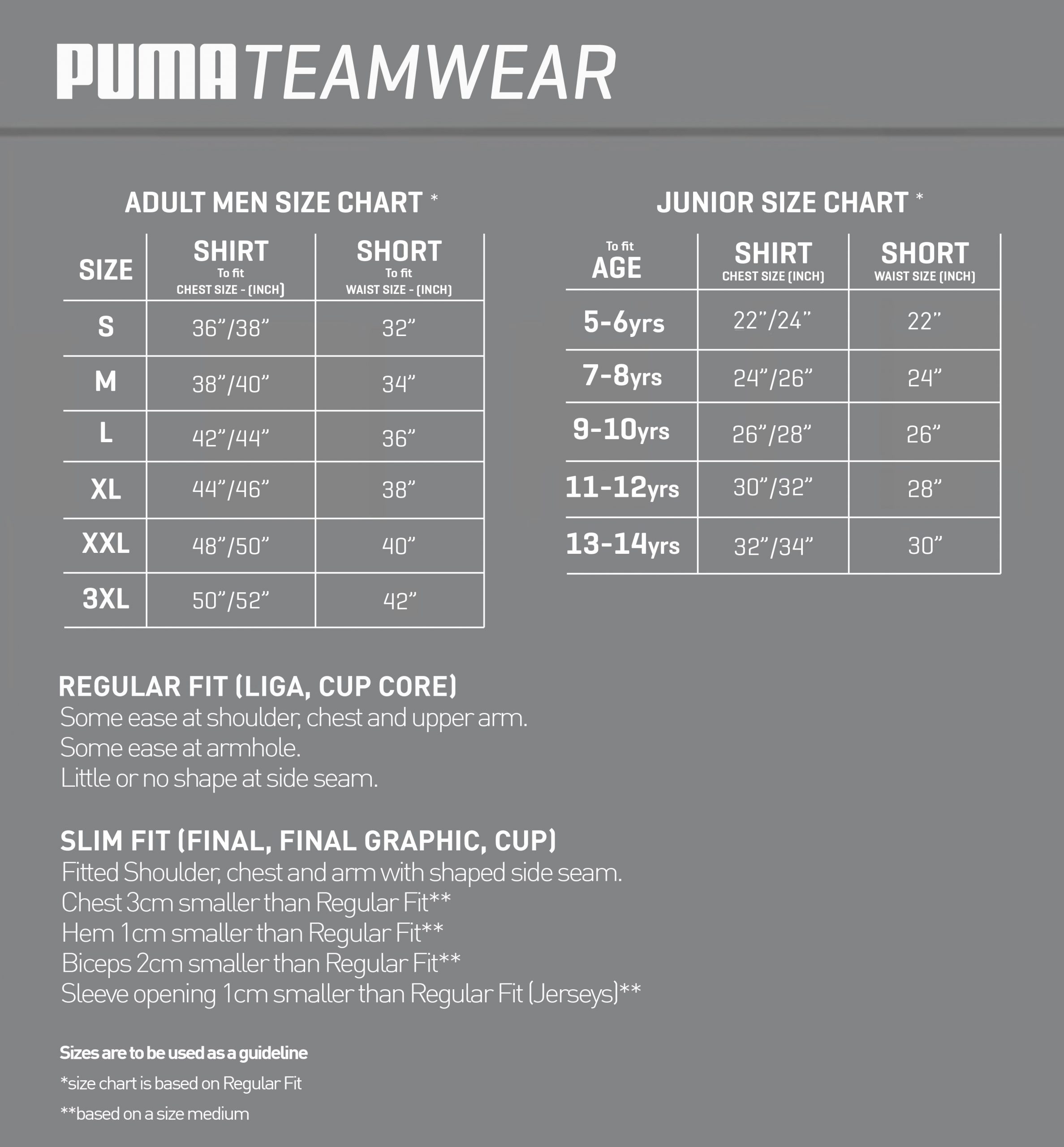 Liga – Puma Teamwear